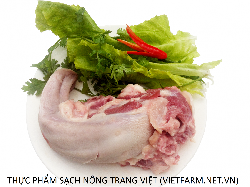 lưỡi lợn sạch